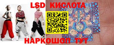 ГАЛЛЮЦИНОГЕННЫЕ ГРИБЫ Можга